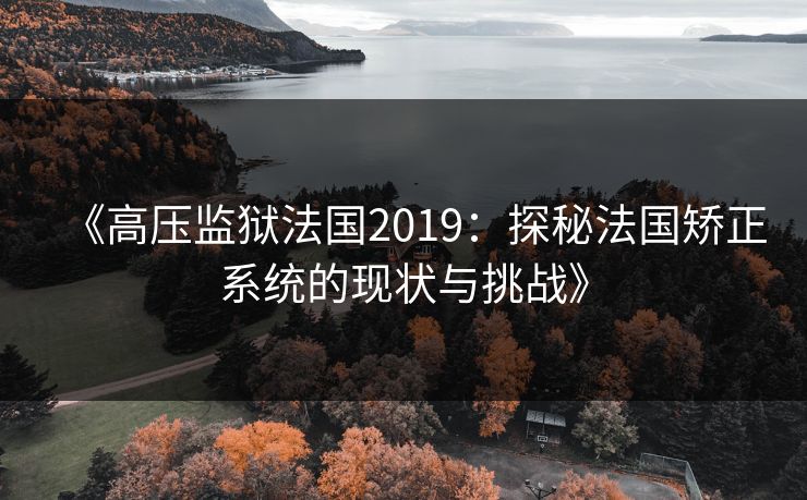 《高压监狱法国2019:探秘法国矫正系统的现状与挑战》 《高压监狱法国2019:探秘法国矫正系统的现状与挑战》