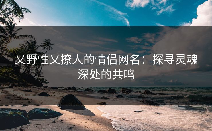又野性又撩人的情侣网名：探寻灵魂深处的共鸣